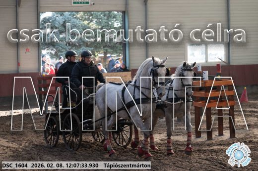 Mintakép 20260208-1713