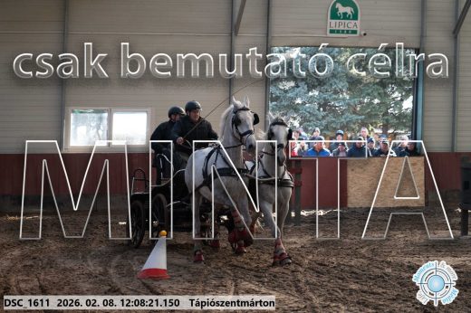 Mintakép 20260208-1719