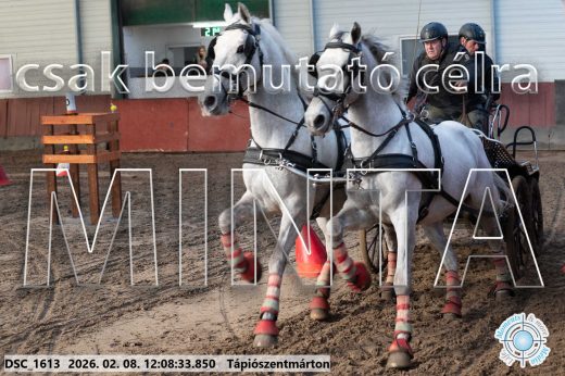 Mintakép 20260208-1721