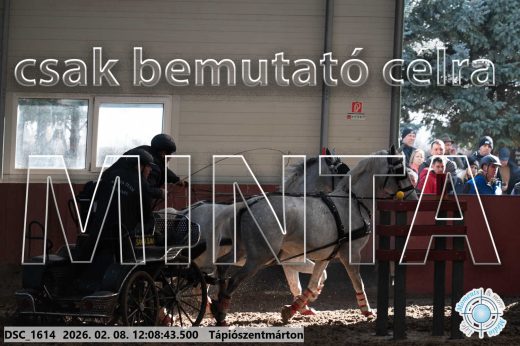 Mintakép 20260208-1722
