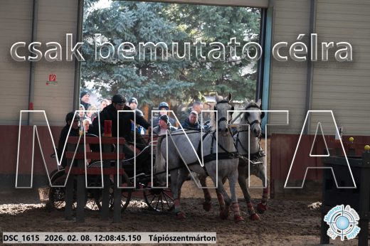 Mintakép 20260208-1723