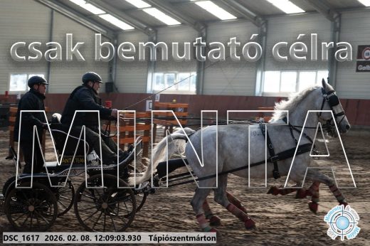 Mintakép 20260208-1725
