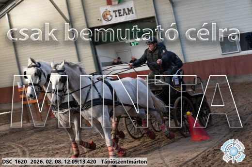 Mintakép 20260208-1728