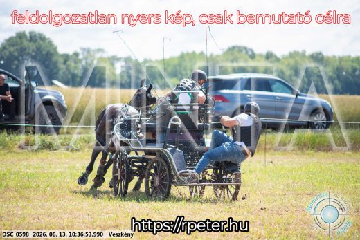 Mintakép 20260613-631