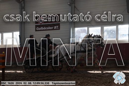 Mintakép 20260208-1733