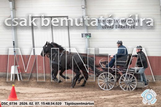 20260207-154834-DSC_0736.jpg