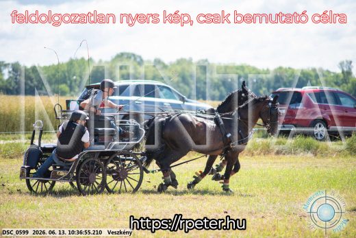 Mintakép 20260613-632