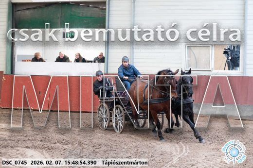 Mintakép 20260207-1036