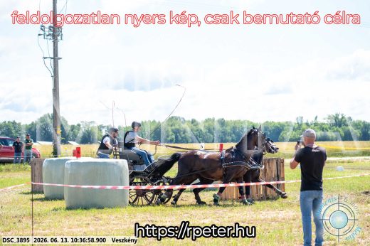 Mintakép 20260613-633