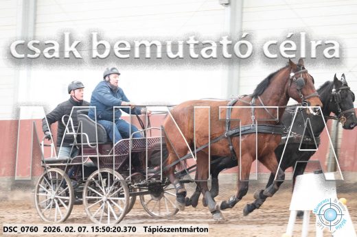 Mintakép 20260207-1046