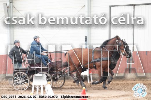 Mintakép 20260207-1047