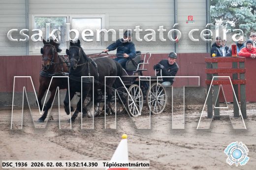Mintakép 20260208-1737