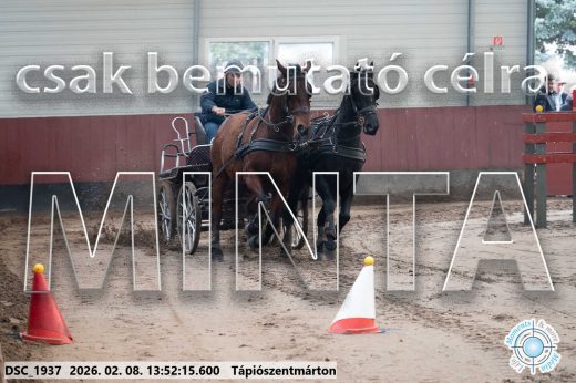 Mintakép 20260208-1738