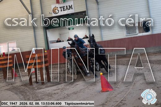 Mintakép 20260208-1747