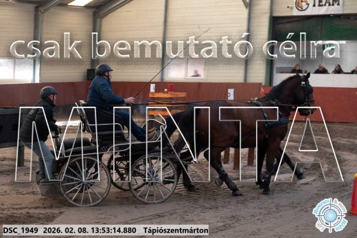 Mintakép 20260208-1749