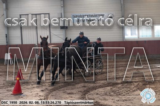 Mintakép 20260208-1750