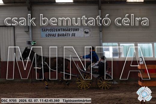 Mintakép 20260207-1051