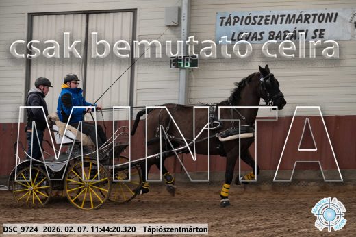 Mintakép 20260207-1064