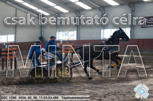 Mintakép 20260208-1757