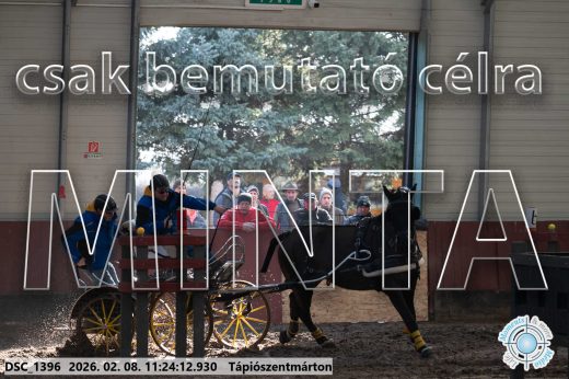 Mintakép 20260208-1761
