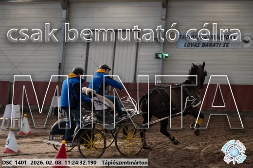 Mintakép 20260208-1766
