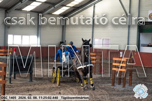 Mintakép 20260208-1769