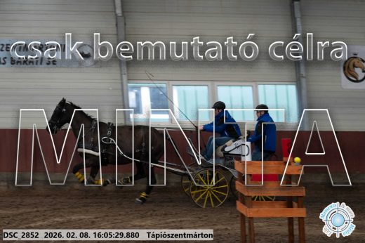 Mintakép 20260208-1775