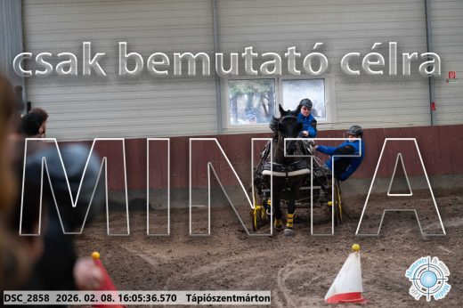 Mintakép 20260208-1781