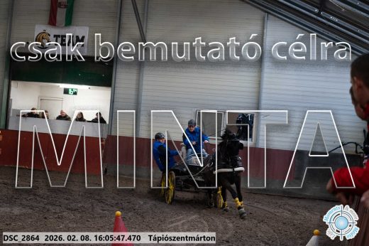 Mintakép 20260208-1786