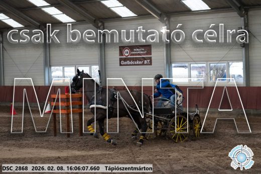 Mintakép 20260208-1790