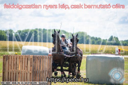 Mintakép 20260613-641