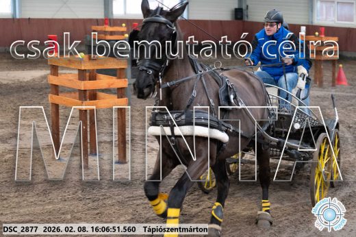 Mintakép 20260208-1799