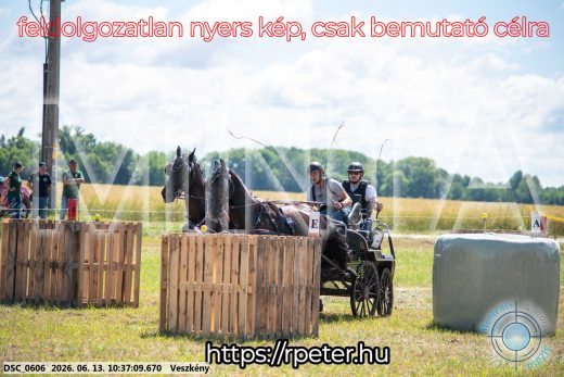 Mintakép 20260613-642