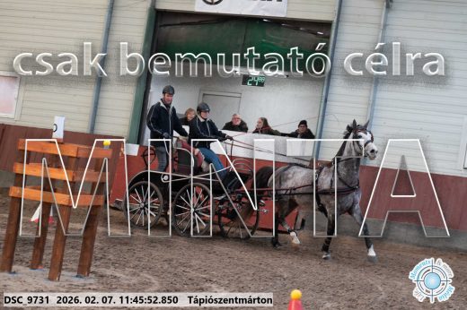 Mintakép 20260207-1071