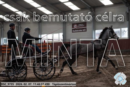 Mintakép 20260207-1075