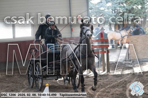 Mintakép 20260208-1801