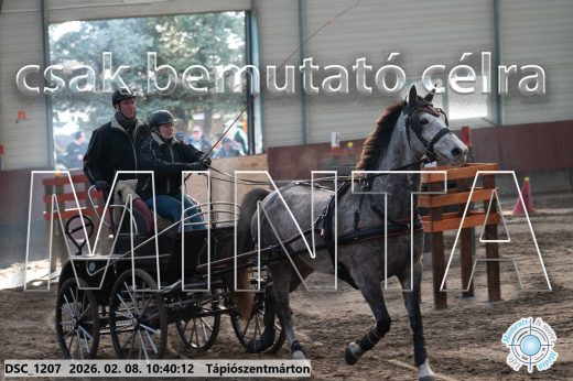 Mintakép 20260208-1802
