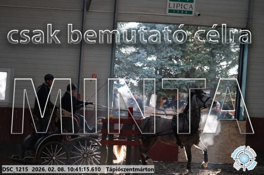 Mintakép 20260208-1809