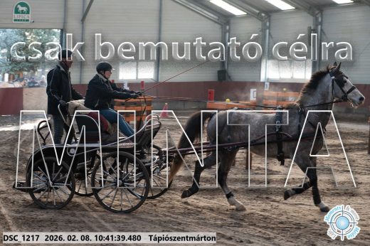 Mintakép 20260208-1811