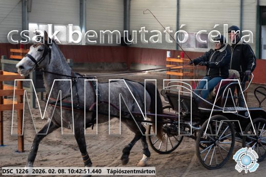 Mintakép 20260208-1817