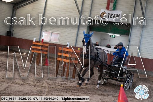 Mintakép 20260207-1085