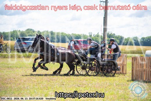 Mintakép 20260613-646