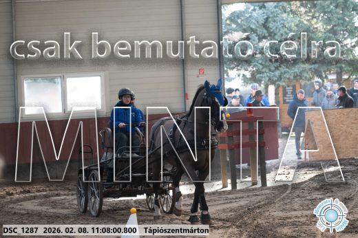 Mintakép 20260208-1819