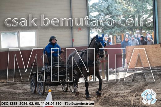 Mintakép 20260208-1820