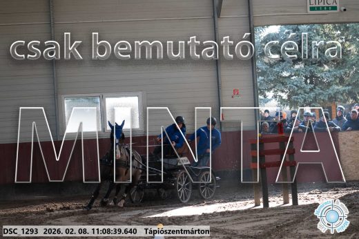 Mintakép 20260208-1825
