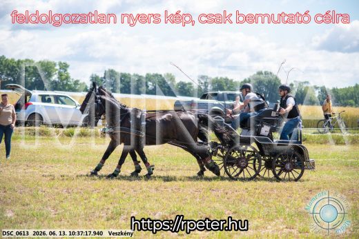 Mintakép 20260613-647