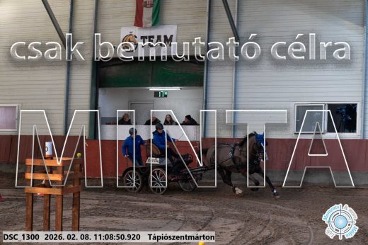 Mintakép 20260208-1830