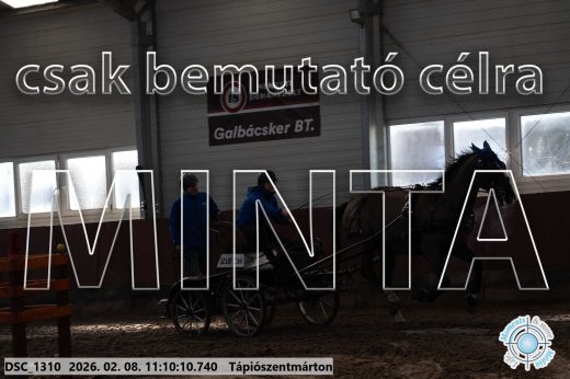 Mintakép 20260208-1839