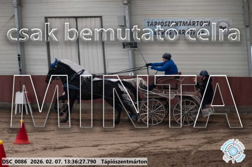 Mintakép 20260207-1096