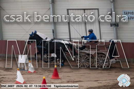 Mintakép 20260207-1097